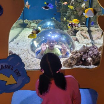 Campers In Dome3 11.10