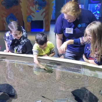 Campers Touch3 11.10